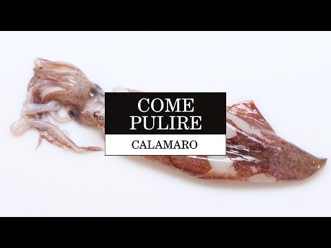 Come pulire il calamaro | Le Tecniche | La Cucina Italiana