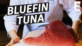 How To Make Sushi Out of a 450 Pound Bluefin Tuna