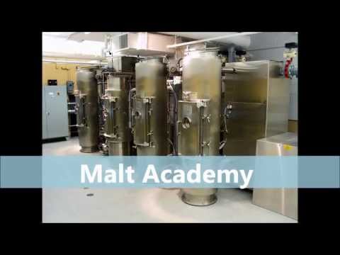 Malting Barley - Malting Process