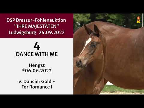 KN 4: Hengstfohlen v. Dancier Gold - For Romance