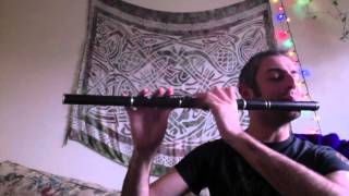 The Kid on the Mountain - Irish Flute - slow/fast