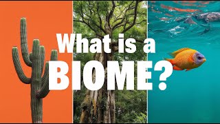 🌍 What is a Biome? Explained for Kids | Biomes of the World & Climate