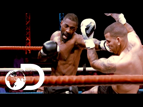 From Screen to Ring: Actors Who Turned Into Fighters