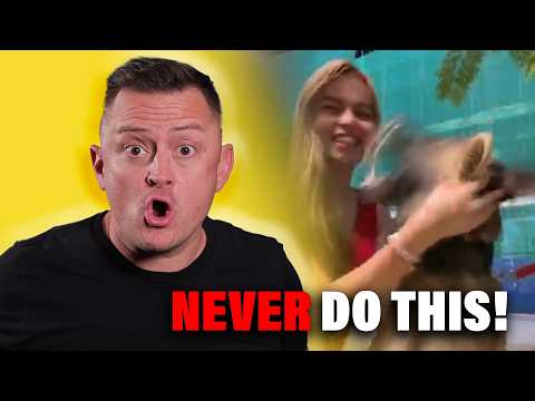 Reacting to Dog Fights That Will Leave You SPEECHLESS!