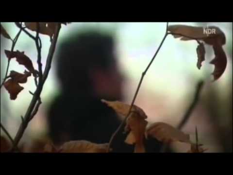 Mobivideo Bückeburg 18.04.15