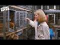 Saving The Kidnapped Puppies Beethoven 1992 Screen Bites