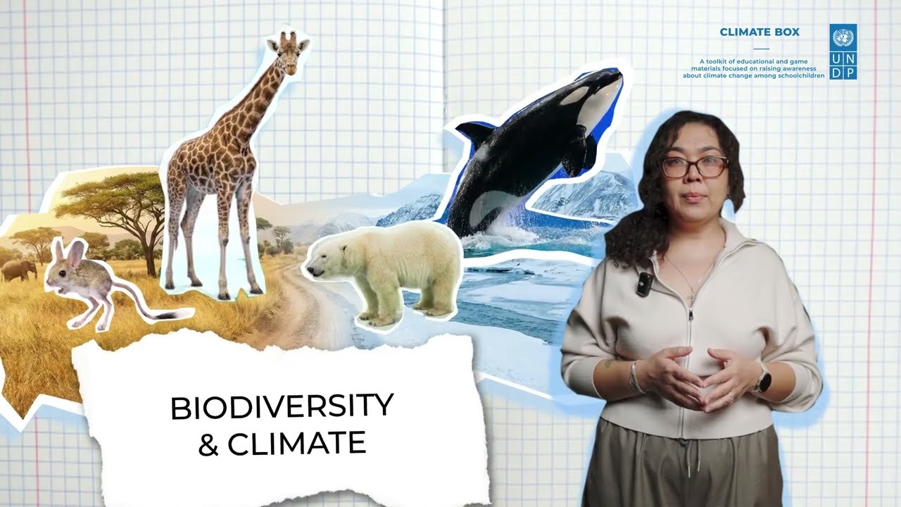Biodiversity and climate video lesson
