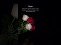 Beautiful Love Quotes 💖 Words That Touch the Heart