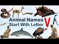 Animal Names Starting With Letter V Spelling Picture Vocabulary Animals Explore Animalslover
