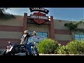 Mobbin Robin 2009 Harley Davidson Softail Deluxe
