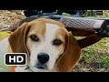 Bowling For Columbine 2002 Dog Shoots Man Scene 2 11 Movieclips