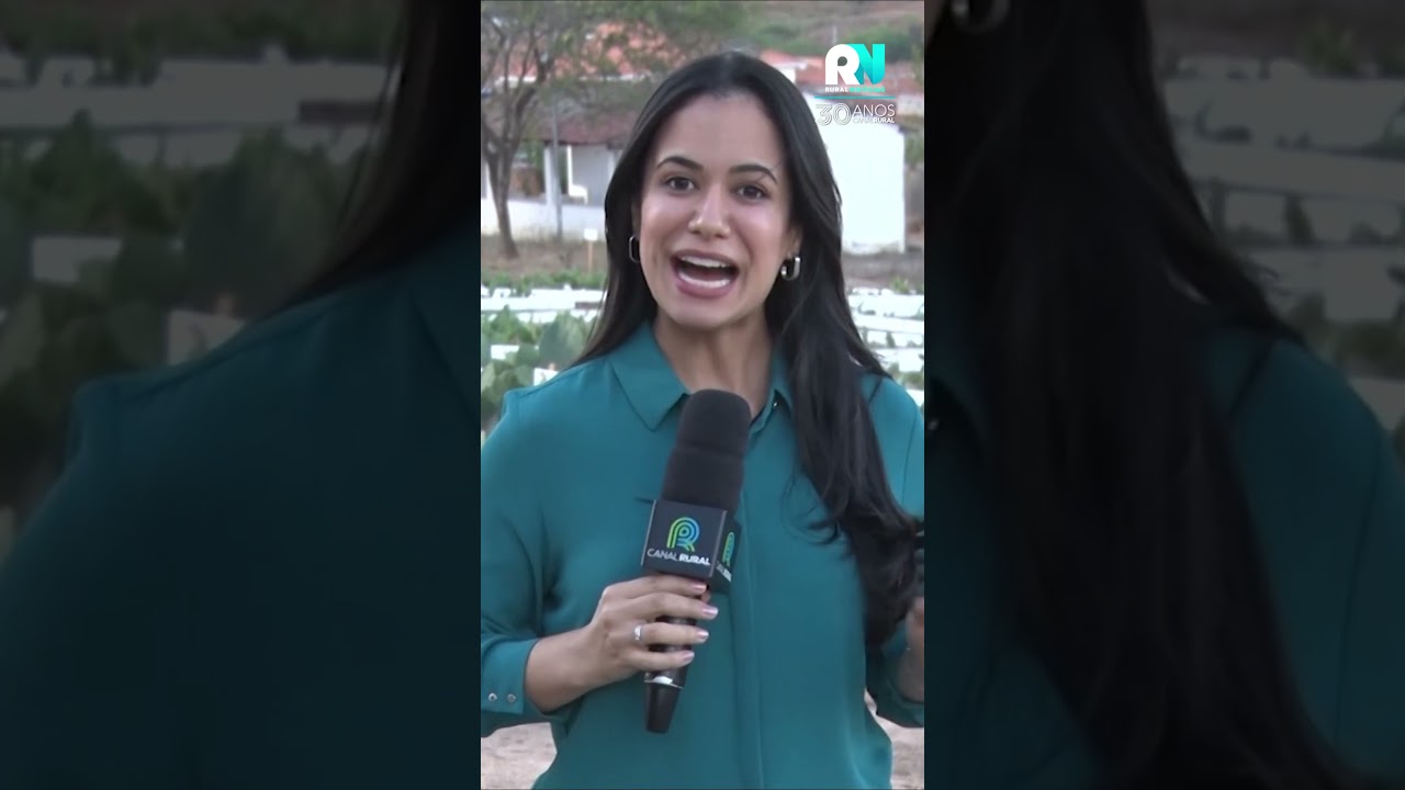 Forrageiras elevam produção para mais de 20 litros de leite por animal