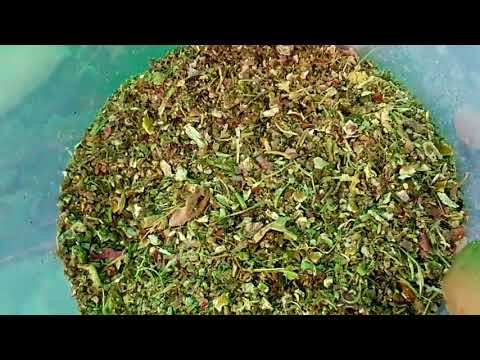 Best manure for flowering plants especially roses Video