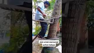 Download lagu Kreatif!!! Alat Untuk Memanjat Pohon Kelapa #shorts mp3 Download lagu Kreatif!!! Alat Untuk Memanjat Pohon Kelapa #shorts mp3