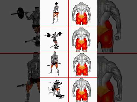 Glutes 😮Workout For Men At Gym ✅#youtubeshorts #shortsviral #workout