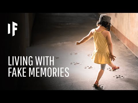 あなたの記憶が偽物だったら？ (What If Your Memories Were Fake?)