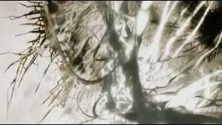 Baird Remo - Yohm