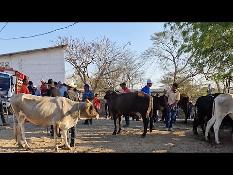 tiangue de Santa Rosa de Lima, La Unión, El Salvador, sábado 28 de febrero 2026