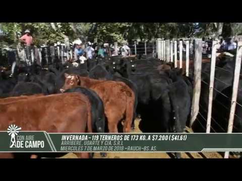 Resumen del remate de Arribere, Ugarte y Cía. -  Miércoles 7 de marzo de 2018 - Rauch