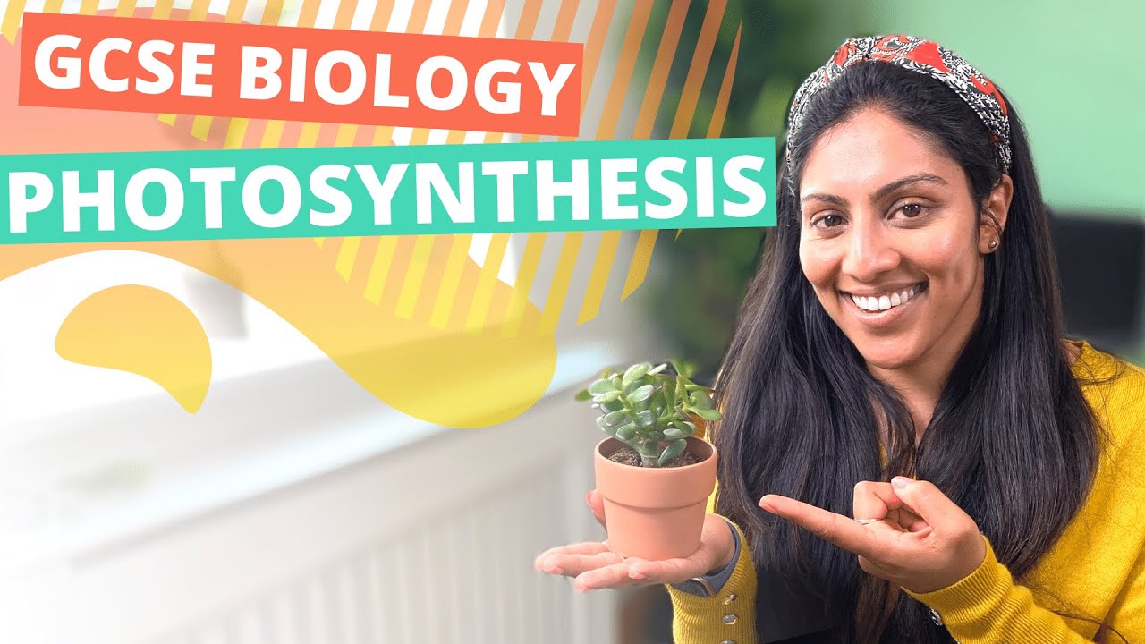 Photosynthesis | GCSE Biology