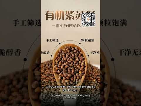 Dầu Hạt Tía Tô Ép Lạnh Cao Cấp Giàu Omega 3 Tăng Cường Miễn Dịch Kháng Khuẩn Chống Oxy Hoá Perilla …