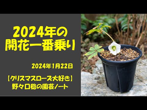 2024年の満月 段階に応じて月を使ってガーデニングをする方法 菜園に何を植えるか