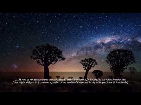 Moutasem Al-Hameedi - Surah Al-Baqarah [Verses 142-203]