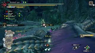 モンハンライズサンブレイク　新突撃！隣の怪異クエ