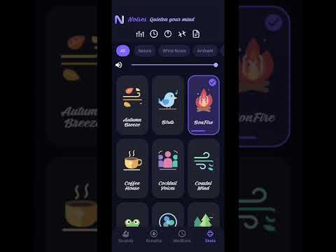 Noises video thumbnail