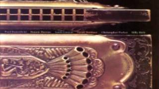 Paul Butterfield's Better Days - Rule the Road