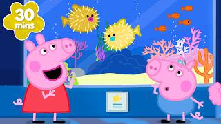 Peppa Wutz entdeckt MEERESTIERE! 🐡🌊 | Peppa-Wutz-Geschichten