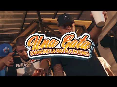 Diamond La Mafia x Passino - Una Gata ( Video Oficial )