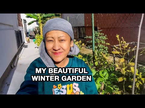 MY BEAUTIFUL ORGANIC WINTER GARDEN IN SERBIA 2025/TANGKHUL VLOG SERBIA