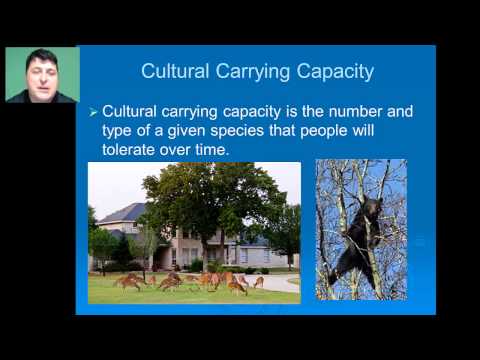 Population Dynamics and Carrying Capacity