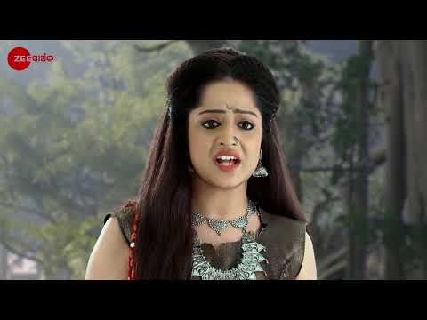 Sata Bhainka Sunanaki - Odia TV Serial - Full EP 335 - Zee Sarthak