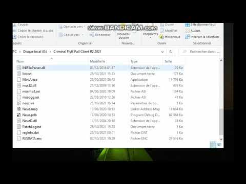 Criminal Flyff Minie Fix