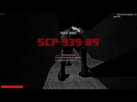 Let's Play SCP: Secret Laboratory #041 (Borkensens)