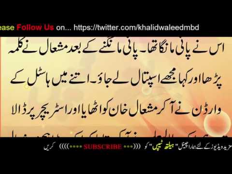 Mashal Khan Friend Tell Story Death Time What Mashal Says