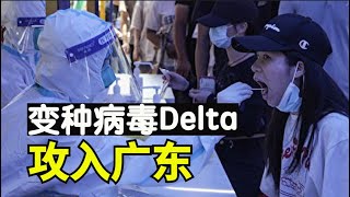 广东疫情严峻,变种病毒攻入广东,变种病毒Delta载量高发病快,新变种Delta+扩散到11国【时事追踪】