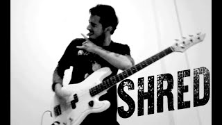 SHRED by Overkill Bass Cover