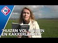 Schokkend boek legt misstanden in uitzendbranche voor arbeidsmigranten bloot - OMROEP WEST