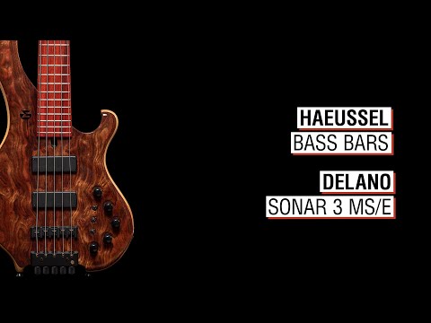 Haeussel Bass Bars + Delano Sonar 3 MS/E - Maruszczyk Frog 5a Headless