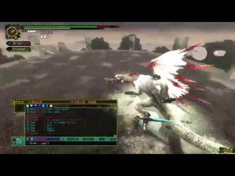 MHFZ - Reflect Lance in a NUTshell