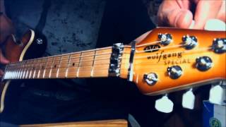 How to tune the EVH Floyd Rose D-Tuna