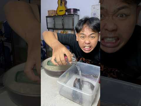 CAN CATFISH SWIM ⁉️ | #shorts #homepage #parentingmother #ridwantuwilll #catfish