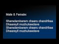 Sharadambaram Karaoke HQ With Lyrics Jayachandran Ennu Ninte Moideen Vimal Prithviraj Malayalam