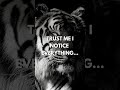 Sigma Rule Ainsi Bas La Vida Shorts Motivation Quotes Shorts Quotes Motivation