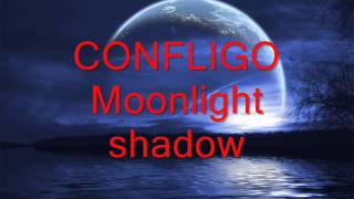 CONFLIGO - Moonlight Shadow (MIKE OLDFIELD cover)