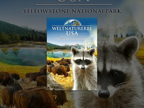 Weltnaturerbe USA - Yellowstone Nationalpark