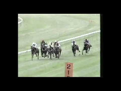 1991 Chipping Norton Stakes - Super Impose